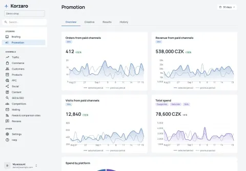 Orders, revenue and visits from paid channels, spend trends and the platform breakdown.